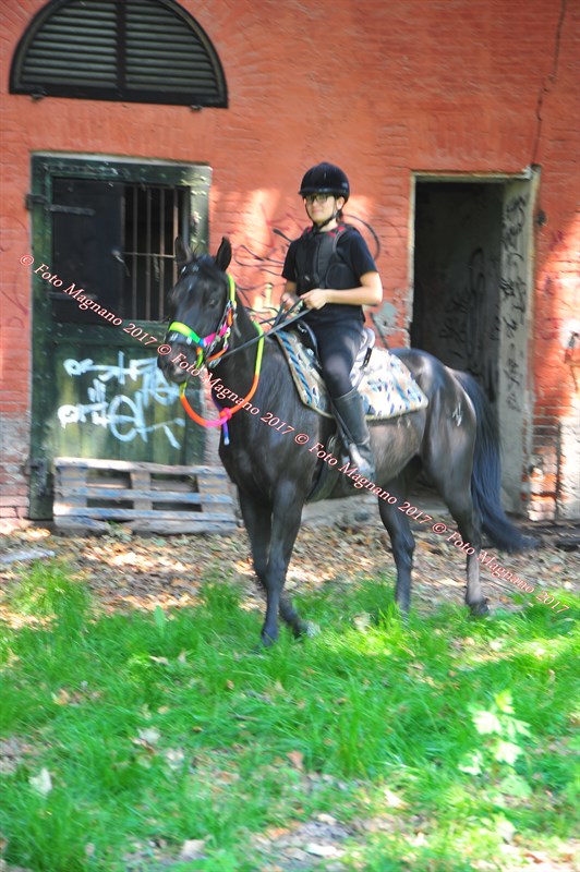DSC_1022.JPG